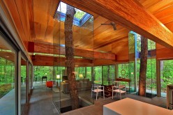 Travis Price Architects designs a home in the forest