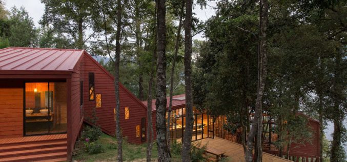 This House Is Designed With Various Levels Cascading Down A Forested Hillside