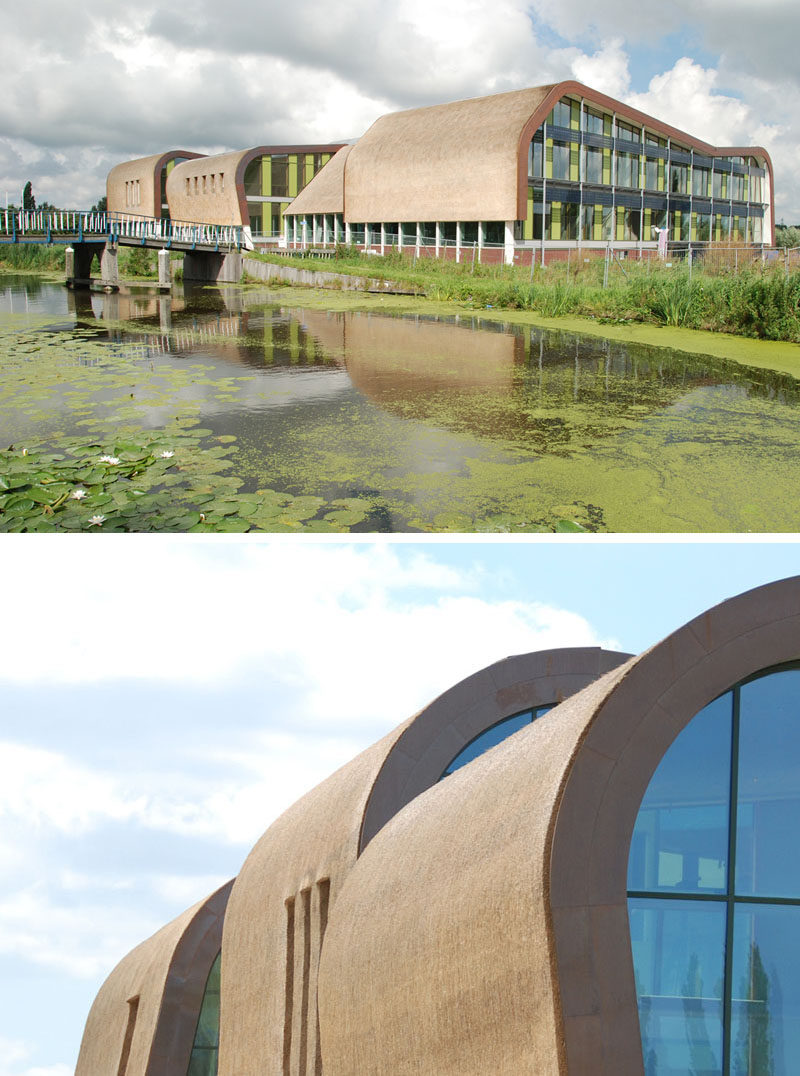 12 Examples Of Modern Houses And Buildings That Have A Thatched Roof // All five of the buildings that make up this town hall in the Netherlands are covered with thatched roofing for protection and to add a traditional element to the modern design.