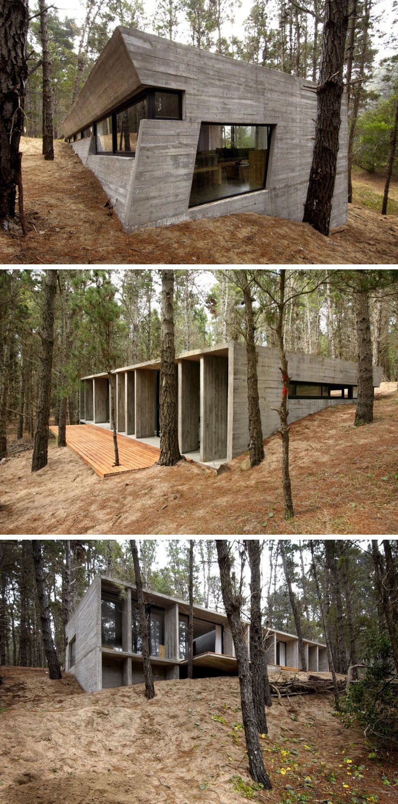18 Modern House In The Forest // This concrete house contrasts the natural elements of the forest that surround it.