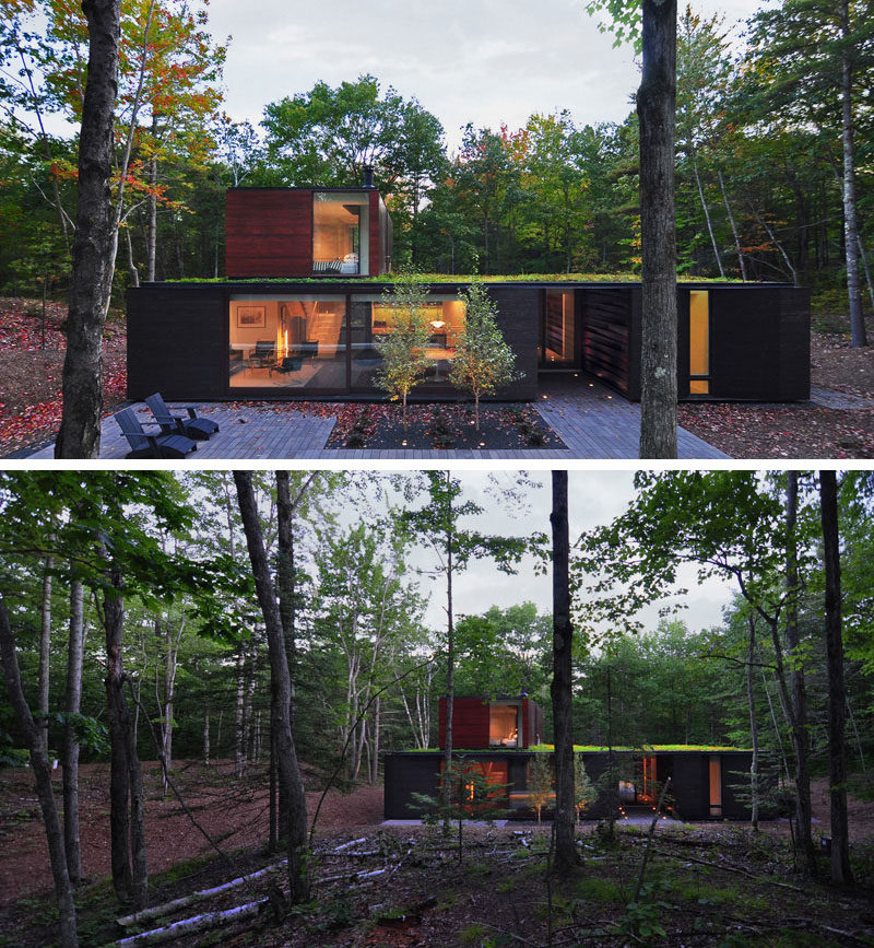 18 Modern House In The Forest // Large trees surround this home with green roof located deep within the forest.