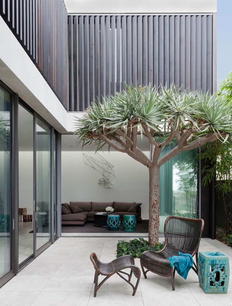 This private courtyard located just off a living room has a small space for a tree and plants.