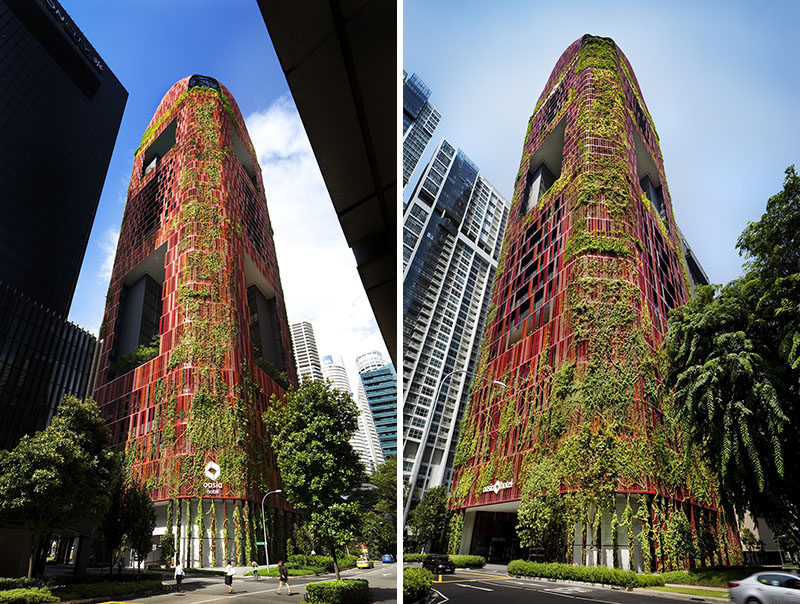 19 Pictures Of The Plant Covered Exterior Of The Oasia Hotel In Singapore