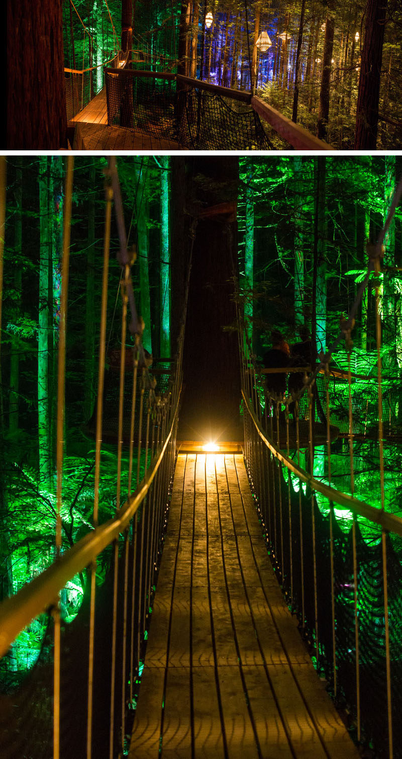 New Zealand based designer David Trubridge and Redwoods Treewalk Rotorua have worked together to create Redwoods Nightlights - New Zealand’s first design-led tourism experience that features a suspended tree walk surrounded by 30 of Trubridge's custom made light fixtures.