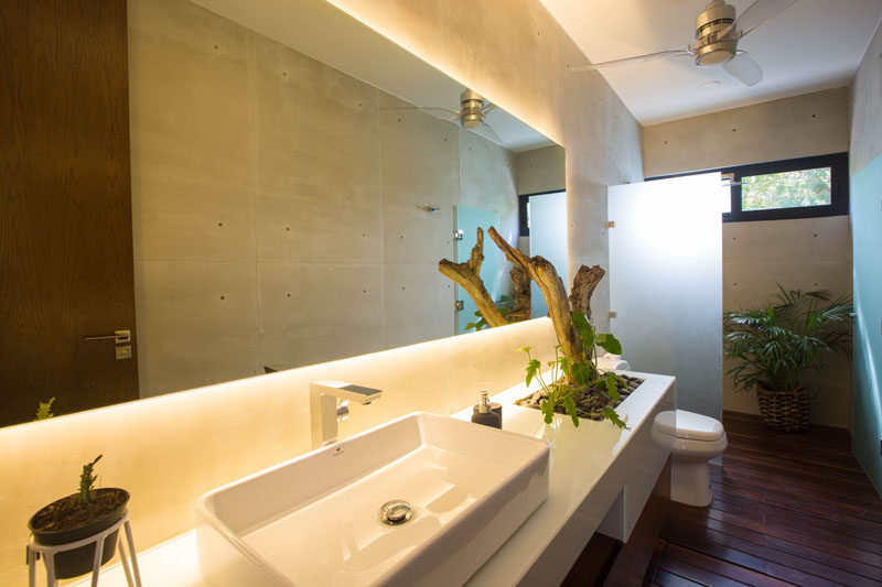 In this modern bathroom, there's a backlit mirror above a vanity has a spot specifically designed to house plants. Wood flooring also carries through into the shower.