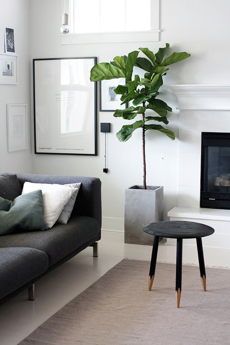 Living Room Ideas On A Budget // Add Greenery And Other Elements Of Nature
