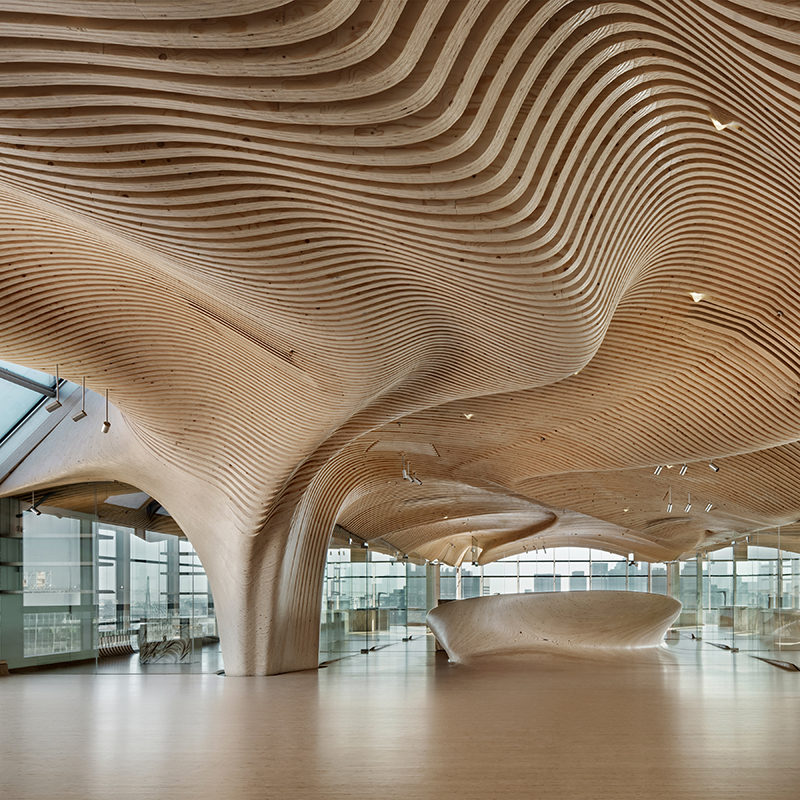 This office designed by dECOi architects features curvaceous wooden details.